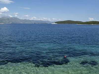 Дайвинг и подводный мир Адриатики – хорватские глубины | Croatia.hr