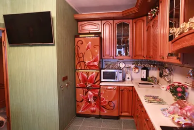 Роспись холодильника на заказ в СПб: фото, примеры, цены.