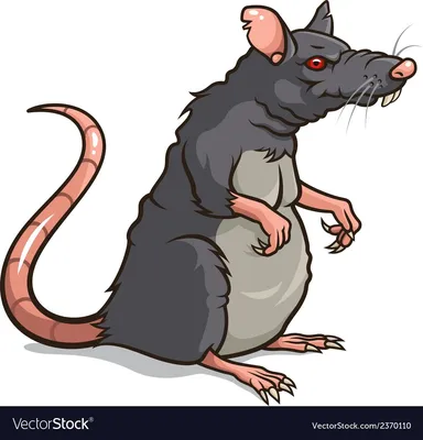 Злая крыса рисунок - 72 фото