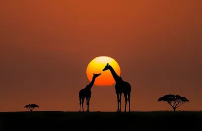 Африканский пейзаж - 74 фото
