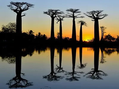Африканский закат. — Фото №298315
