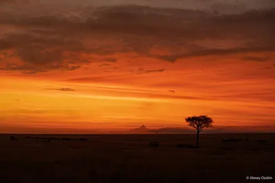 Невероятные африканские закаты