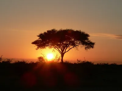 Африканский Закат — стоковые фотографии и другие картинки Африка - Африка,  Без людей, Большой - iStock
