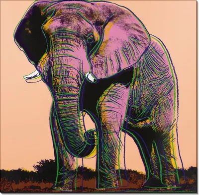 Африканский саванный слон (лат. Loxodonta africana) – Интересные животные