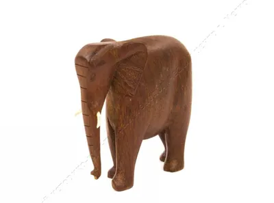 Античный Иллюстрация Африканских И Индийский Слон — стоковая векторная  графика и другие изображения на тему Африканский слон - Африканский слон,  Культура Индии, Африка - iStock