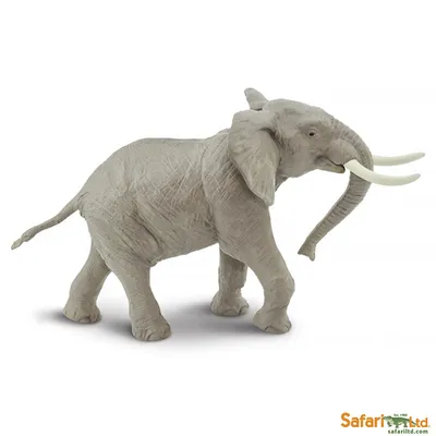 Африканский слон 3D модель - Круговой обзор 360 градусов - 3DModels