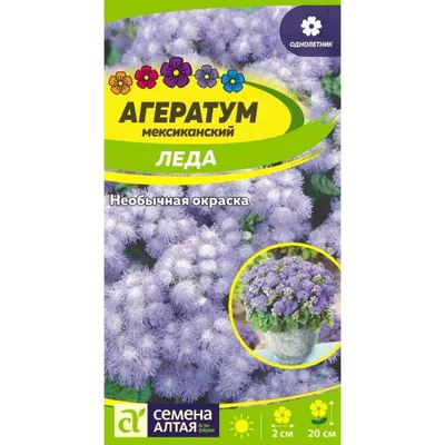 Купить Агератум Рассада цветов, овощей и зелени всего 31руб.