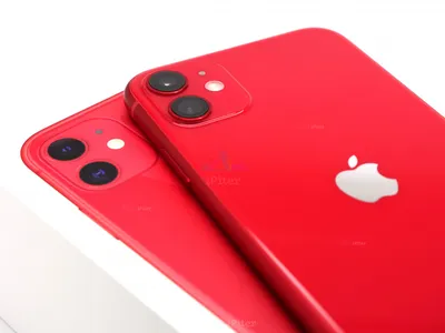 Купить Apple iPhone 11 256Gb Red (Красный) по низкой цене в СПб