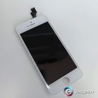 Корпус для Apple iPhone 5s золотой-шампань в EkaTech.ru