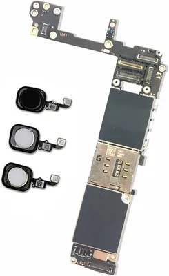 File:Apple-iPhone-6S-Plus-Inside.jpg - Wikipedia