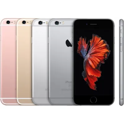 Купить Apple iPhone 6s 32 ГБ Серебристый: цена смартфона Эпл iPhone 6s 32  ГБ в каталоге телефонов интернет магазина Apple Centre - Новосибирск