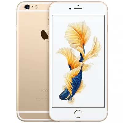 Купить смартфон Apple iPhone 6S 32 Gb Gold (Золотой) в Москве с гарантией.