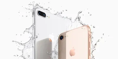 iPhone 11 vs. iPhone 8: Should You Upgrade? | Tom's Guide