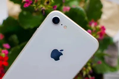 iPhone XS vs iPhone 8 Plus: Why The 8 Plus Is A More Sensible Choice |  Macworld