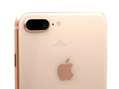 Купить Apple iPhone 8 Plus 256Gb Gold (Золотистый) по низкой цене в СПб