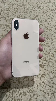 Купить Чехол iPhone X Baseus wing case, тонкий прозрачный пластик, матовый  (цвет: белый) в магазине 3G-Сервис