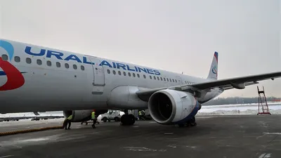 Airbus A321 а/к Уральские авиалинии — Каропка.ру — стендовые модели,  военная миниатюра