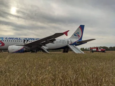 Авиакомпания Уральские Авиалинии (Ural Airlines) — Авиакомпании и авиалинии  России и мира