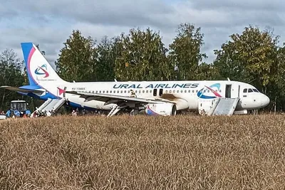 Аварийная посадка Airbus A321 под Жуковским (\"чудо в кукурузном поле\") -  РИА Новости, 15.08.2020
