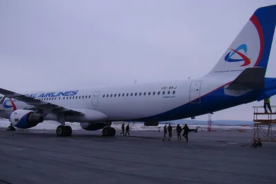 Росавиация назвала причины аварийной посадки Airbus A321 \"Уральских  авиалиний\" в кукурузном поле в августе 2019 года