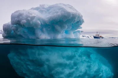 фото | Как выглядит айсберг под водой? - Hi-News.ru