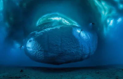 Так выглядит айсберг под водой | Пикабу