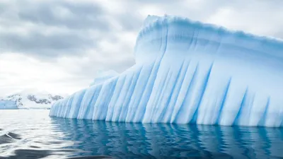 К берегам канадского острова Ньюфаундленд прибило айсберг оригинальной  формы - KP.RU