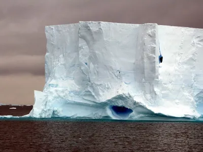 Крупнейший в мире айсберг вынесло в воды Южного океана - NEWS.ru — 28.11.23