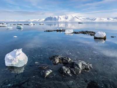 Айсберг плавает в море | Премиум Фото