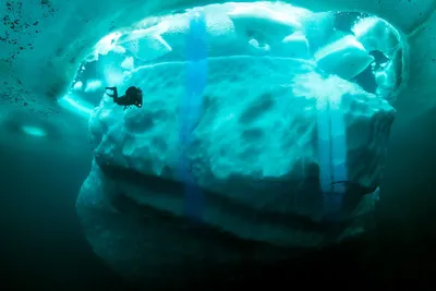 Часть Синего BEAUTIFULL Больше Айсбергом В Воде Океана Пейзажа Антарктиды  Фотография, картинки, изображения и сток-фотография без роялти. Image  66656705