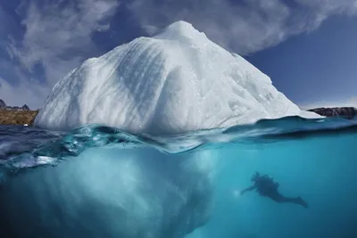 1 триллион тонн пресной воды оказался в океане из-за растаявшего айсберга