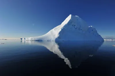 Ученые выяснили, что происходит с талой водой от айсбергов |  Journalist.today