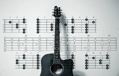 Значок аккорды на гитаре F7. Основной вектор хорд гитары изоляции на белом  Иллюстрация вектора - иллюстрации насчитывающей гитарист, гитара: 193223608
