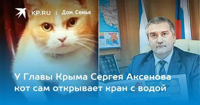 Глава Крыма Сергей Аксенов - о курортном сезоне: Туристов больше, а очередь  на переправе - максимум 4 часа - KP.RU