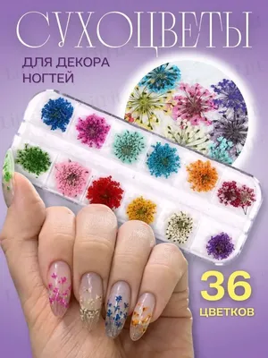 Декор для ногтей маникюра сухоцветы для педикюра творчества LitFit 98728051  купить в интернет-магазине Wildberries