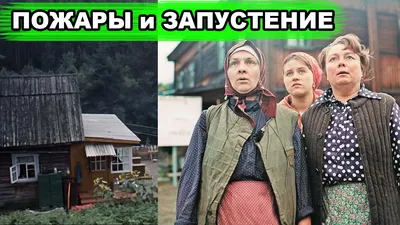 Баба Шура из фильма \"Любовь и голуби\" - как выглядит, чем сейчас  занимается: биография, личная жизнь, муж, дети