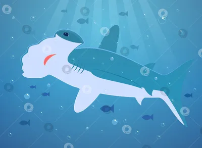 Познавательный рассказ для детей про акул - Дом Сказки