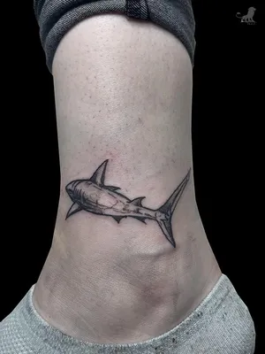 Traditional tattoo shark color tattoo inst: @spasibo_kere татуировка акула  традиционная | Weird tattoos, Traditional tattoo, Black tattoos