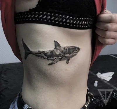 tattoo, shark tattoo, body art on hand | Татуировки, Тату, Заставка