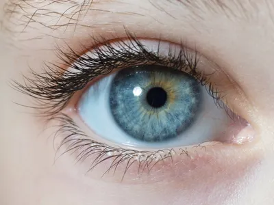Голубые Глаза — стоковые фотографии и другие картинки Глаз - Глаз, Женский  пол, Крупный план - iStock