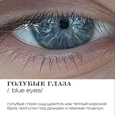 Ярко голубые линзы Marquise Mocco blue / Для светлых и темных глаз - купить  по выгодной цене | Купить цветные линзы в магазине MARQUISE