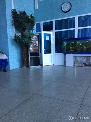 Кафе \"Камбуз\" - Аквапарк Нептун Петропавловск - развлечения и отдых с  детьми в Петропавловске (в петропавловском аквапарке Нептун)