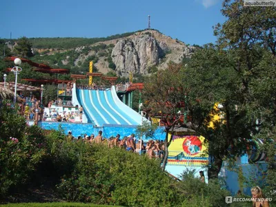 Побывала в аквапарке в Симеизе. Что понравилось, а что нет. Дорого или нет  решайте сами | Крымская путешественница | Дзен