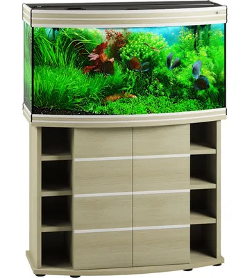 Продам аквариум 200 литров на тумбе. Внутренний фильтр, свет, крышка, рыбы,  грунт, растения. Без внешнего фильтра. 9000 руб. Вацап… | Instagram