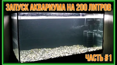 Панорамный аквариум Биодизайн Altum Panoramic 200 купить в Москве по  выгодной цене