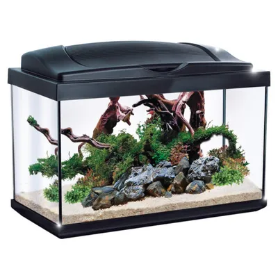 Аквариум Tetra AquaArt LED Goldfish аквариумный комплекс 30 литров с LED  освещением ― Aquatic World