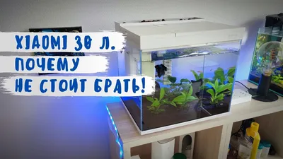 Нано аквариум на 30 литров | Пикабу