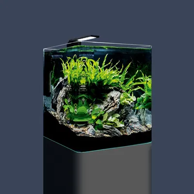 Tetra AquaArt LED Aquarium 30 L Crayfish: Tetra