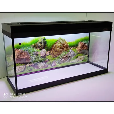 Мое нано-море (Denerle nano cube 30 литров) - Мой маленький морской аквариум  - Морской аквариум. Форумы ReefCentral.ru