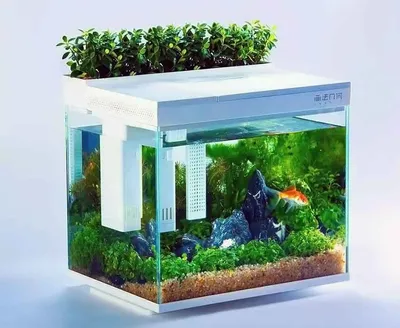 Купить аквариум для рыб Tetra Starter Line,LED CRAY 30, 30 л, 42 х 27 х 36  см, цены на Мегамаркет | Артикул: 100028370530